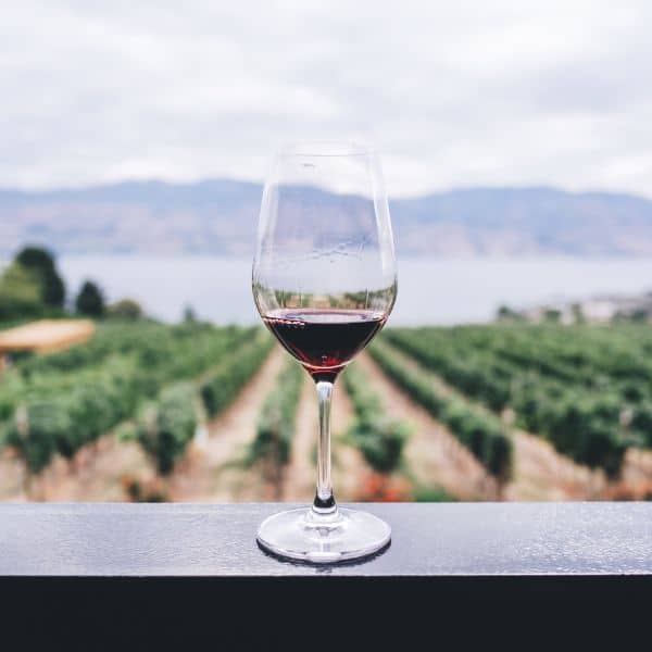 Photo d'un verre de vin rouge surplombant un champ de vigne